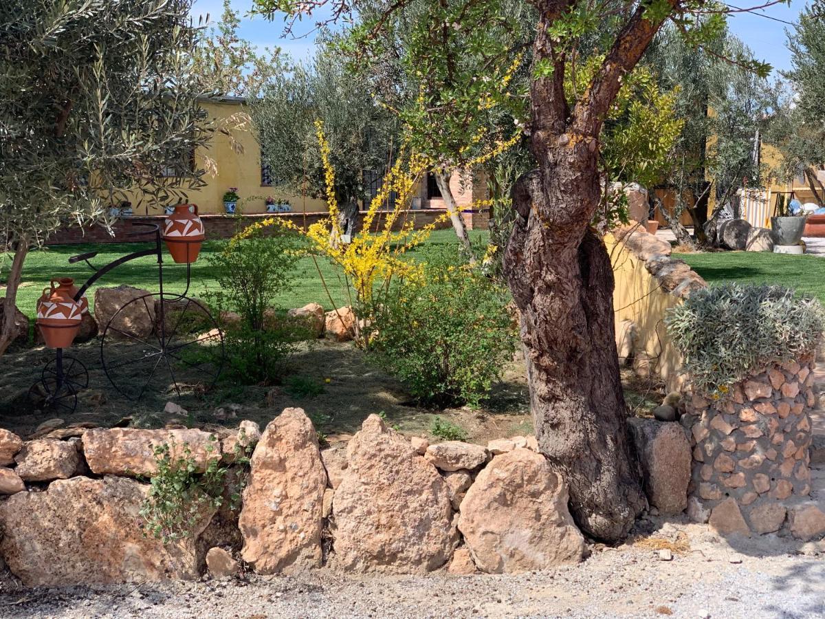 Cortijo Bustamante Country house