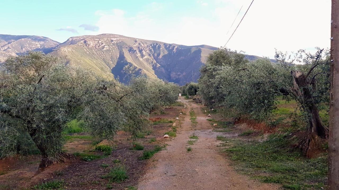 Pensión Gateway To The Alpujarras, 'cortijo Derry' Orgiva