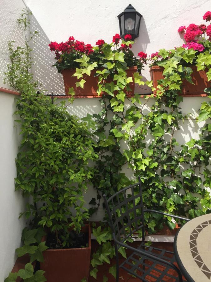 Apartamento Alfonso Xiii Córdoba