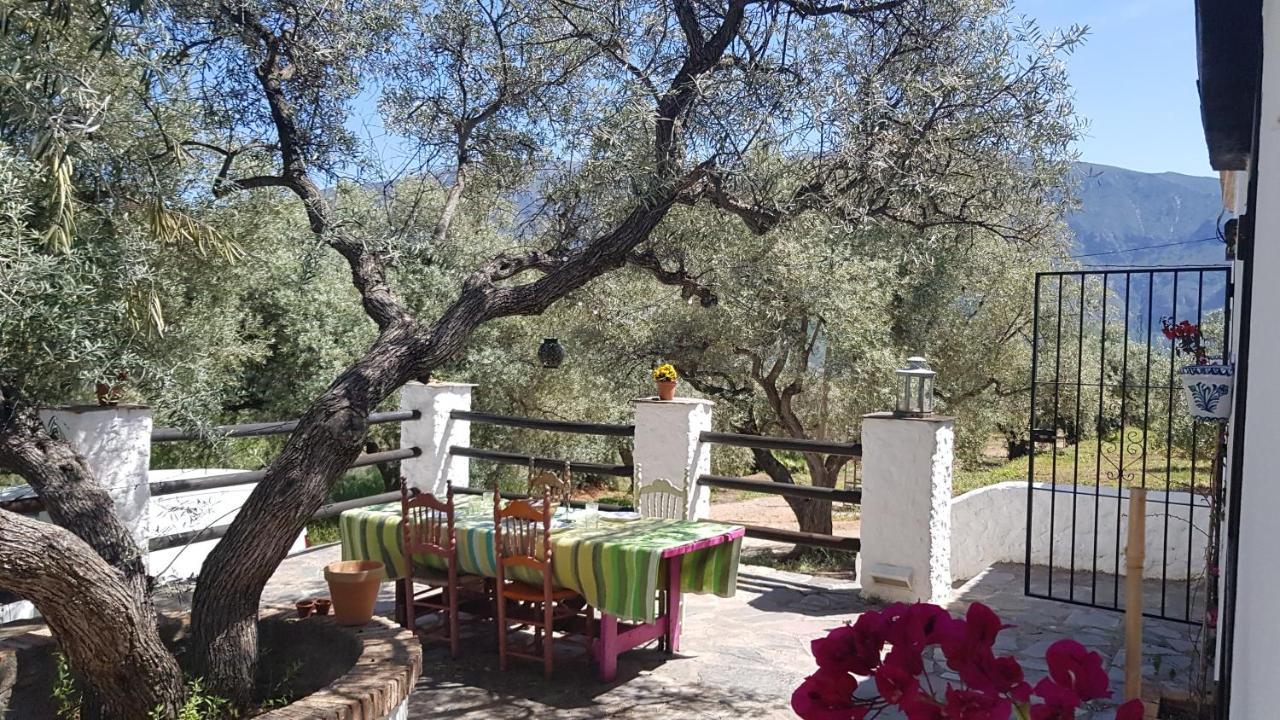Gateway To The Alpujarras, 'cortijo Derry' Orgiva