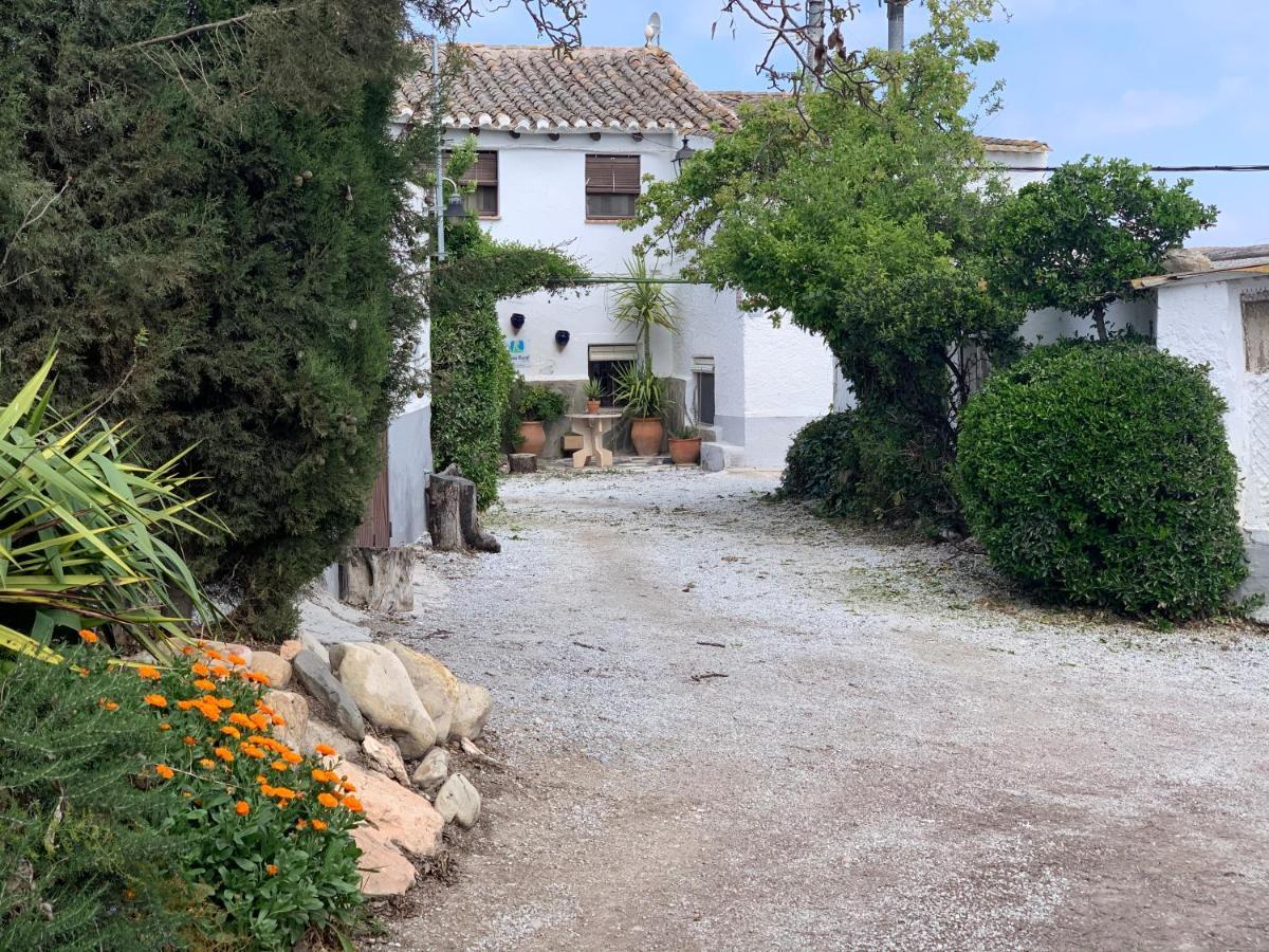 Country house Cortijo Bustamante Baza