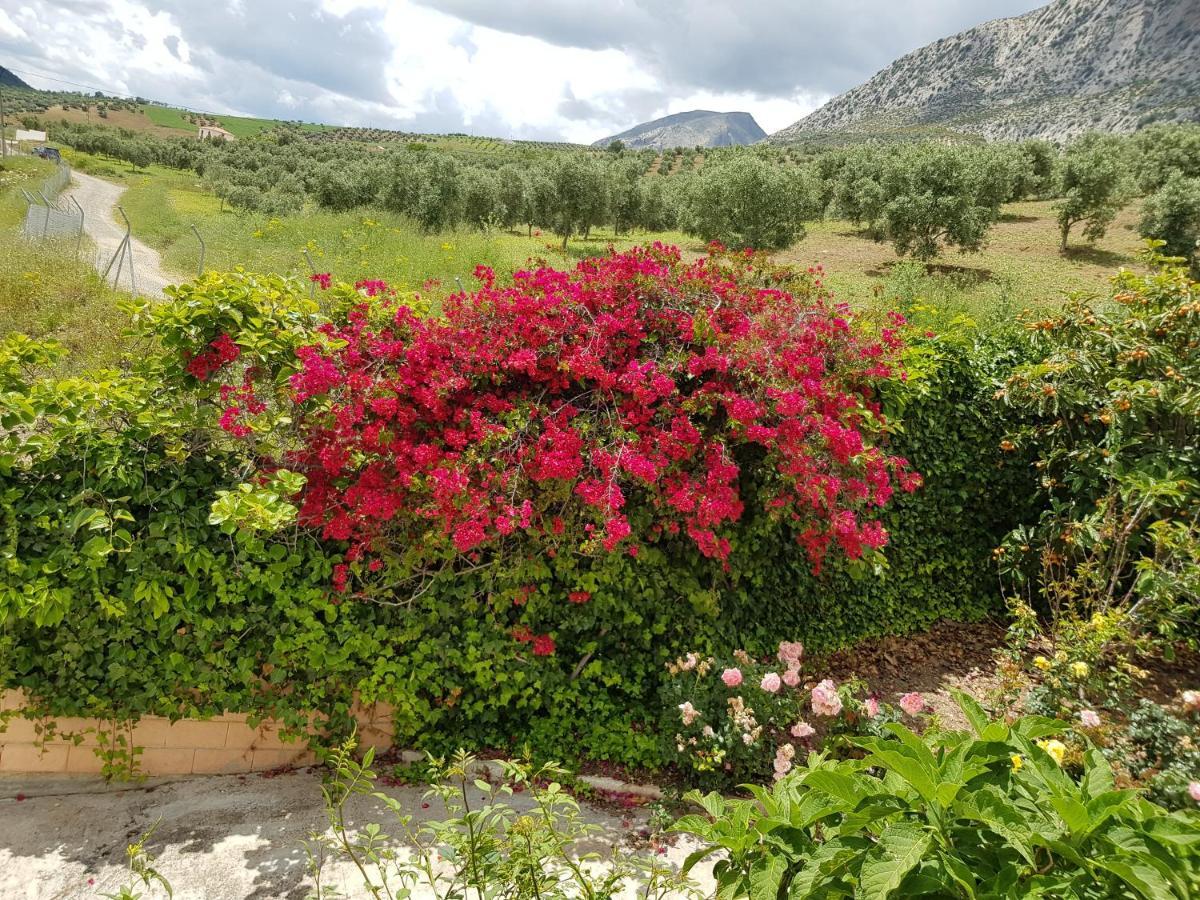 Hierbabuena Сasa de vacaciones Valle de Abdalajís