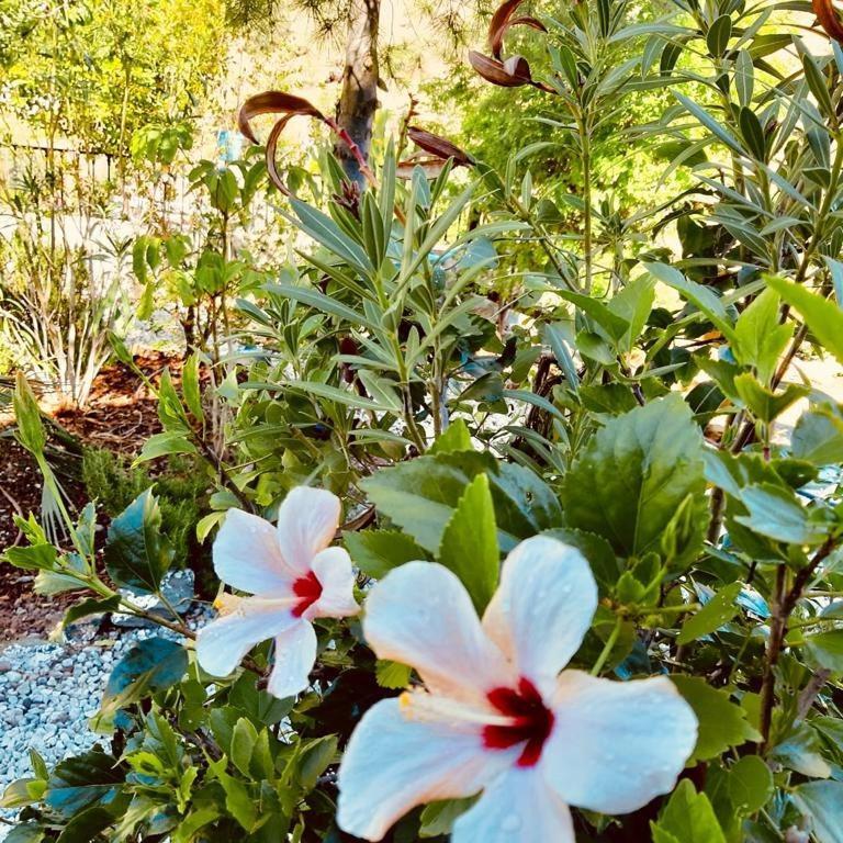 Rincon Del Mundo Bed & Breakfast Alora