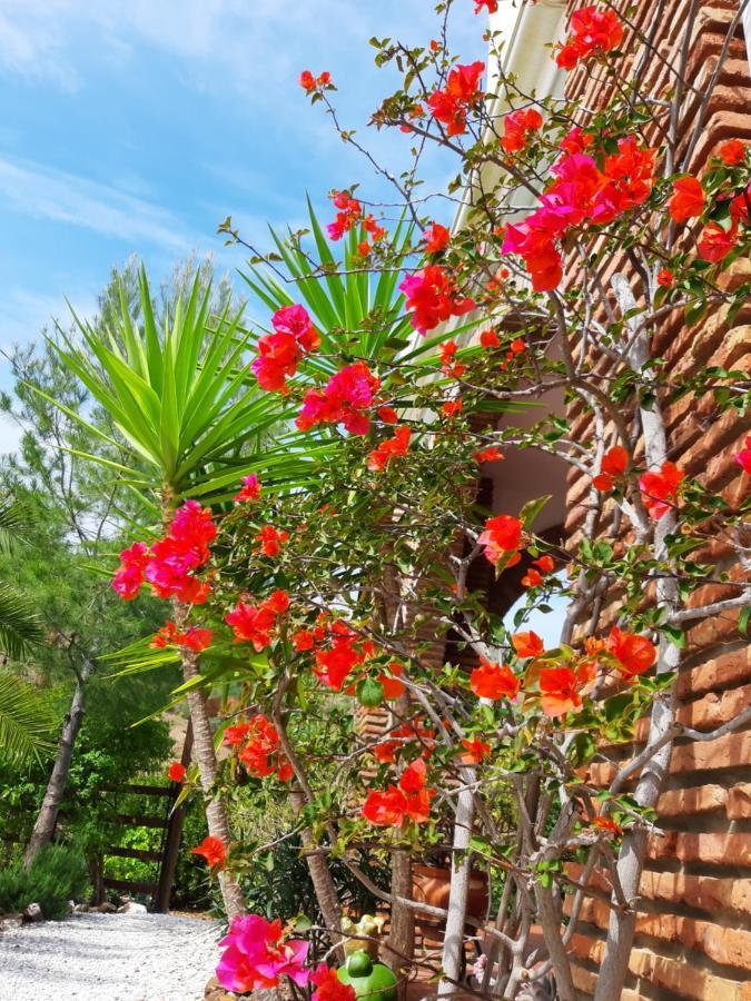 Rincon Del Mundo Bed & Breakfast