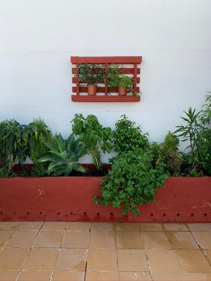 Atico La Ilusion Con Parking Sanlúcar de Barrameda