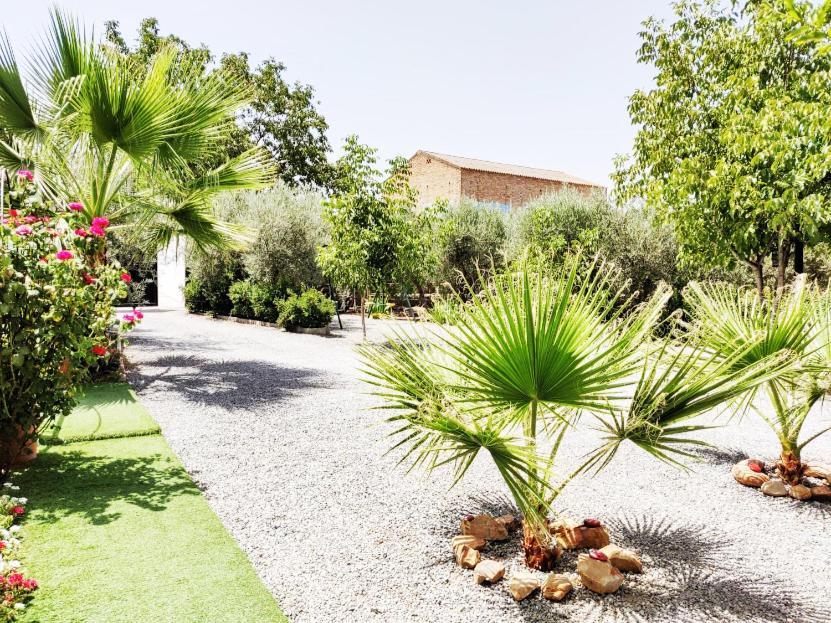 Holiday home Camino Del Palo *