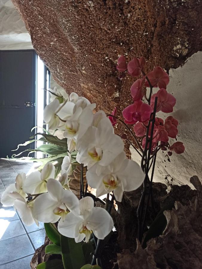 Alvarado Loft Rural Apartamento