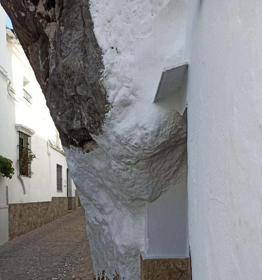 Apartamento Alvarado Loft Rural *