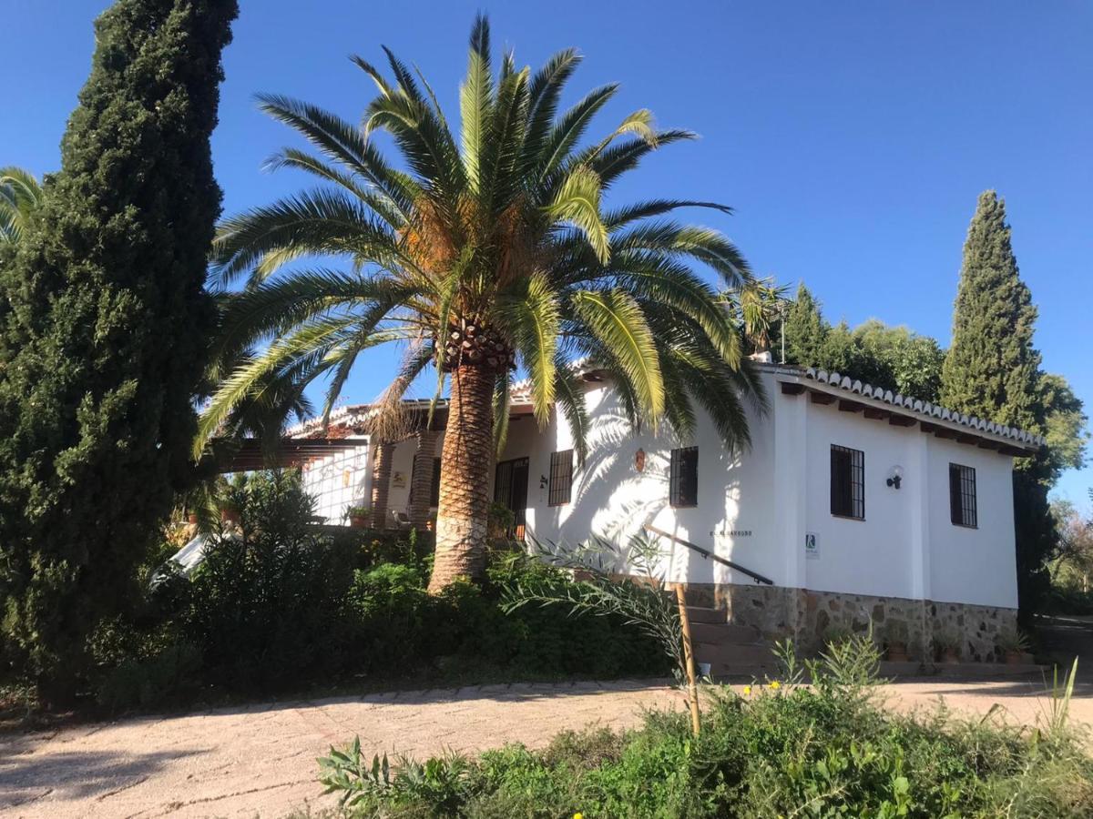 Casa Algarrobo Сasa de vacaciones *