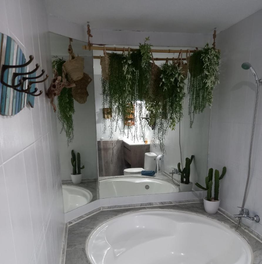 Apartment Casa Sala, Con Encanto En Natura