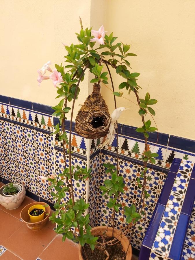 Bed and breakfast Girasoles