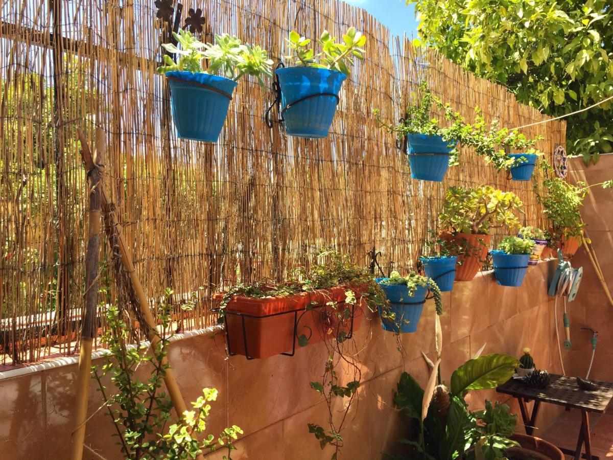 Cool Garden And Homestay Mairena del Aljarafe