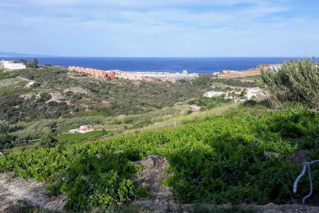 Beautiful In Duquesa Suites And Gardens Apartment