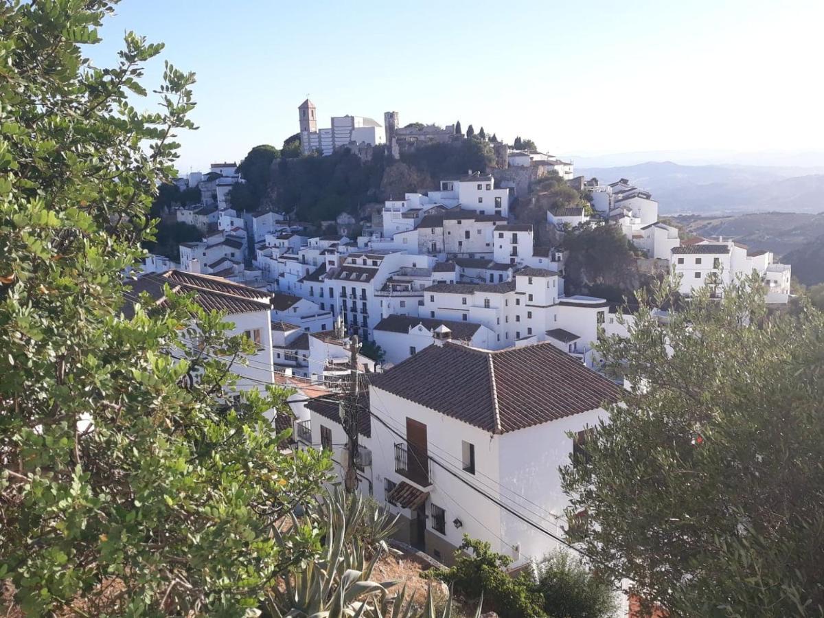 Beautiful In Duquesa Suites And Gardens Apartment *