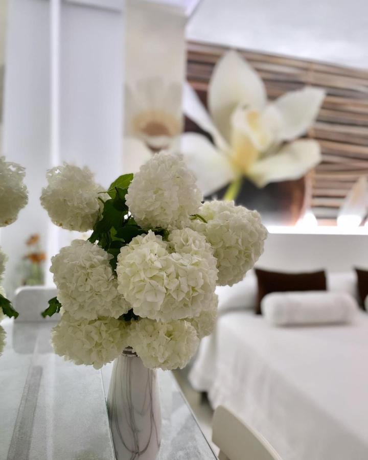 El Jardin Hotel Soto de la Marina