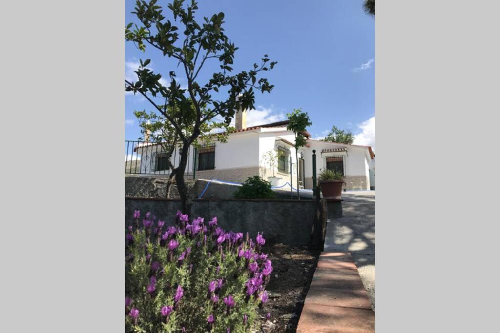 Casa Dimas Holiday home