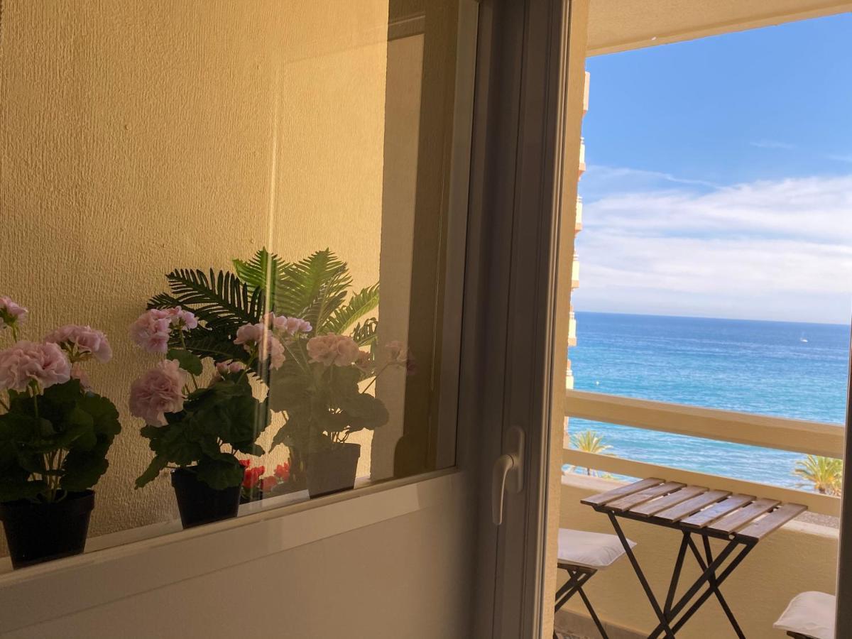 First Line! Art-apartment On The Seafront Of With Swimming Pool *
