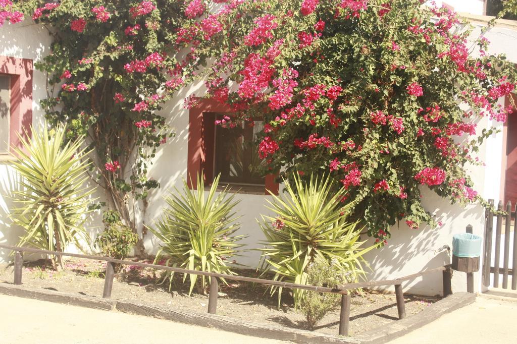 Apartamento Molino El Mastral *