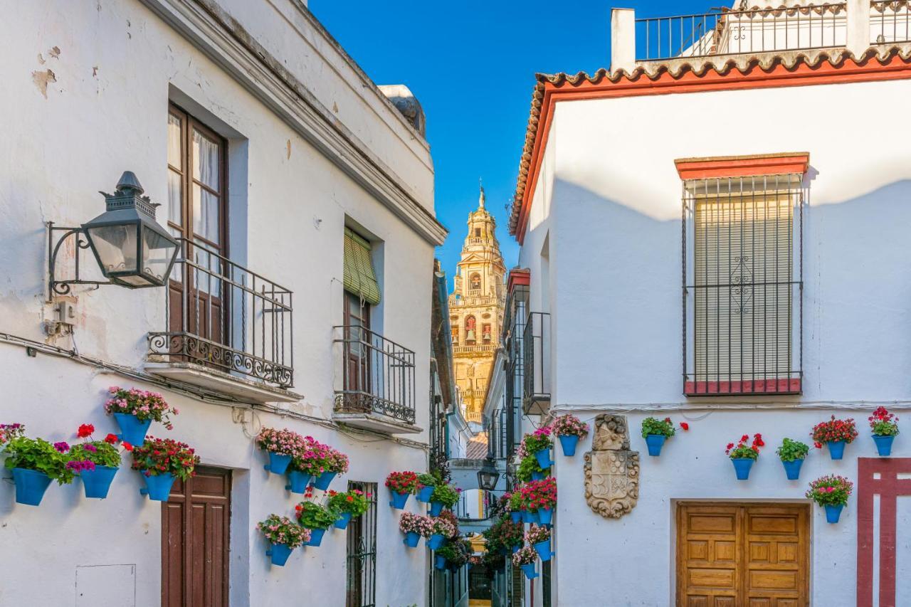 Apartment Atico A 1 Minuto De La Mezquita-catedral