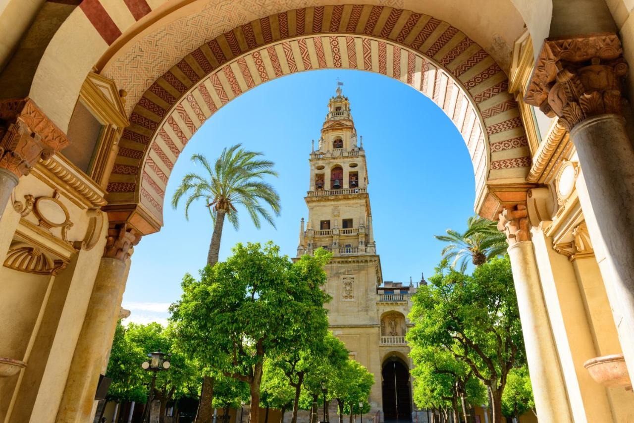 Apartment Atico A 1 Minuto De La Mezquita-catedral *