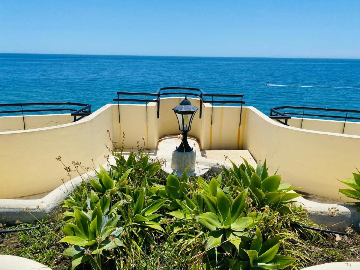 First Line! Art-apartment On The Seafront Of With Swimming Pool