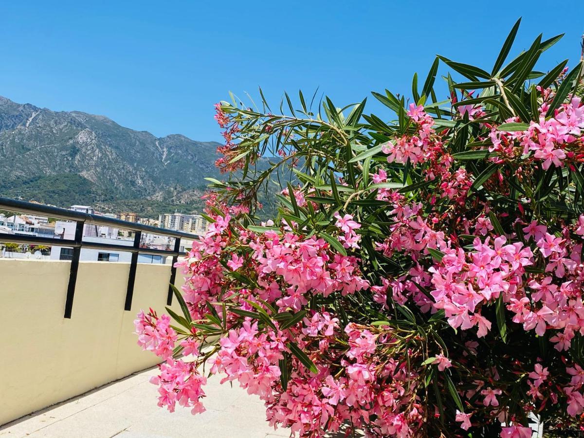First Line! Art-apartment On The Seafront Of With Swimming Pool Apartment