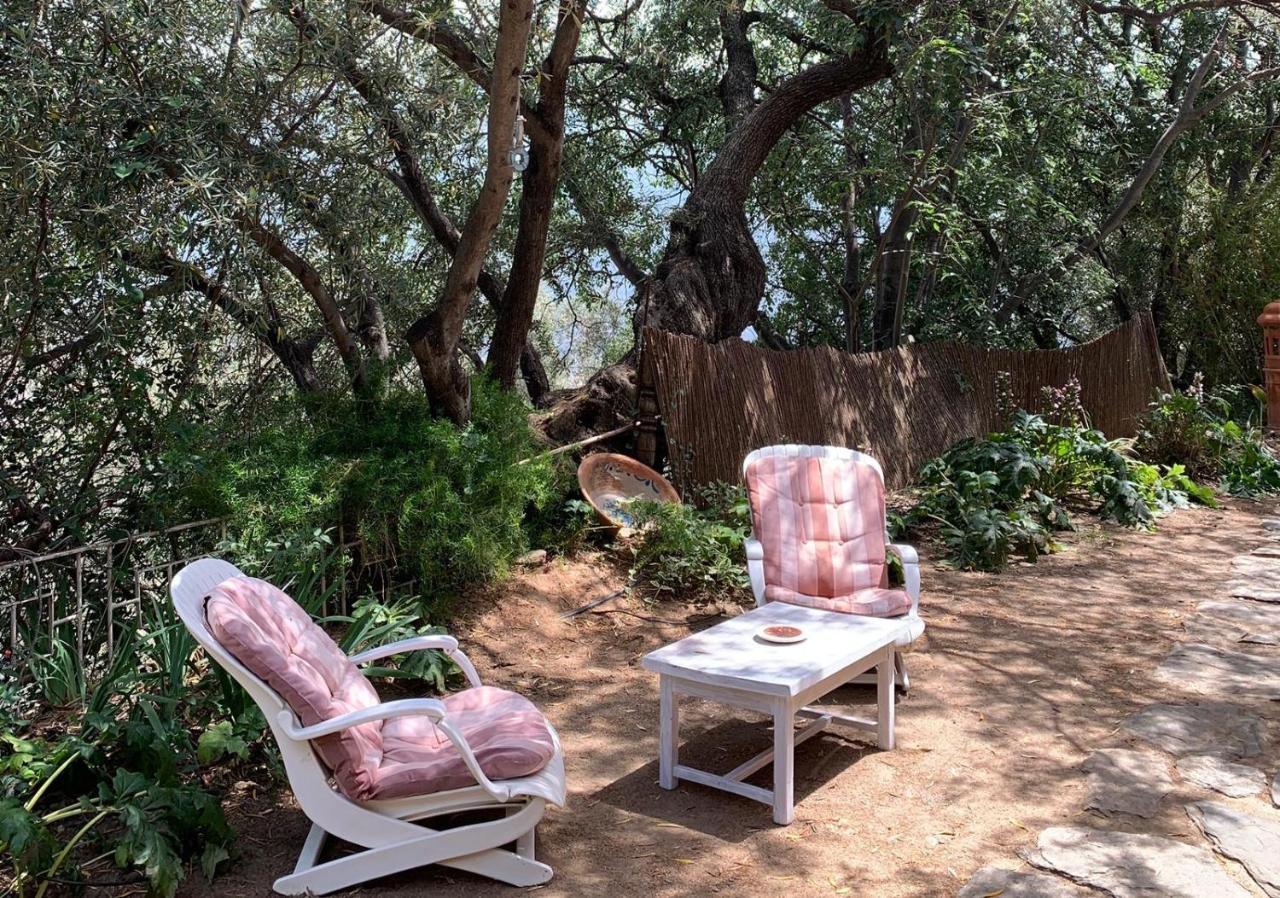 Cortijo Cañuelo Сasa de vacaciones Bayacas
