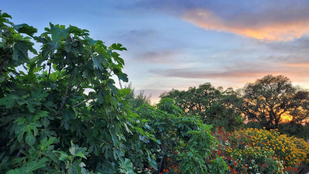 Arcos Gardens - The Townhouse - Luxury Accommodation