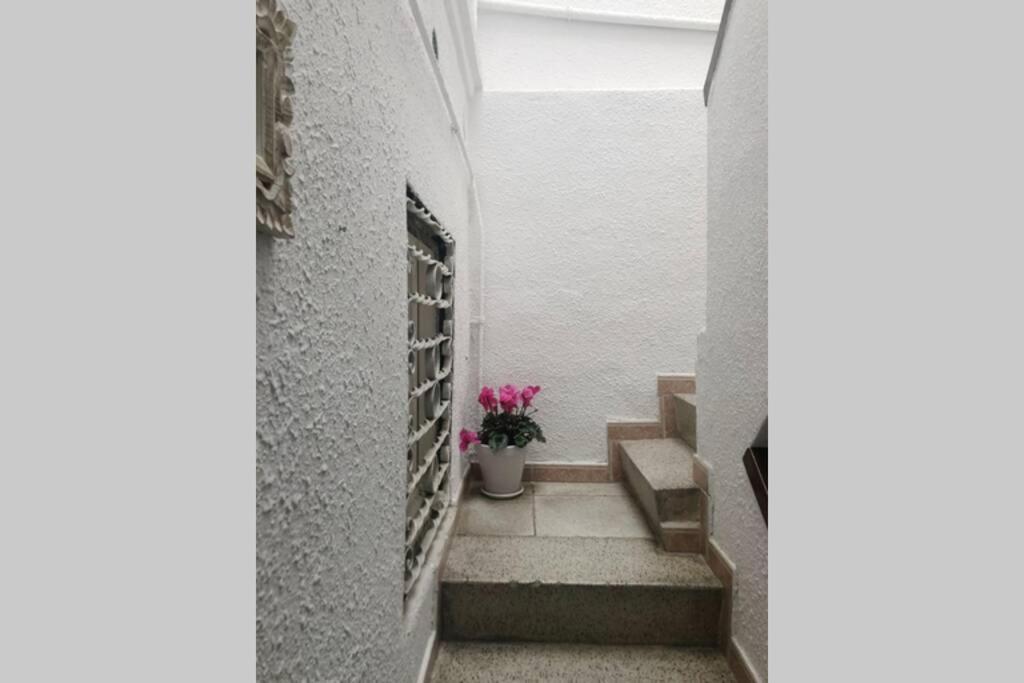 Apartment M5 Cool Terrace. Metro 1 Min. Center 15' By Metro *