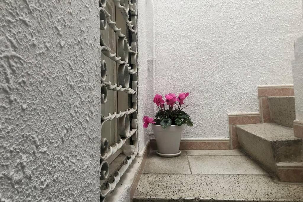 Apartment M5 Cool Terrace. Metro 1 Min. Center 15' By Metro *