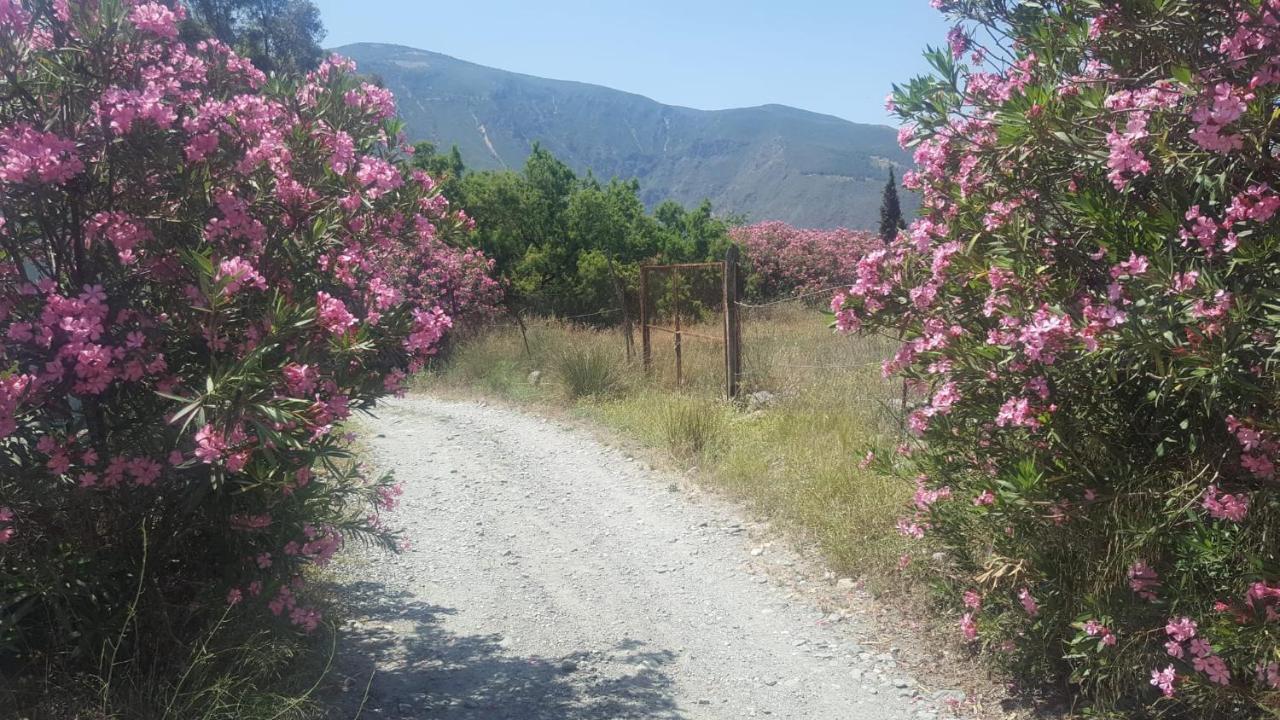 Gateway To The Alpujarras, 'cortijo Derry' Pensión Orgiva