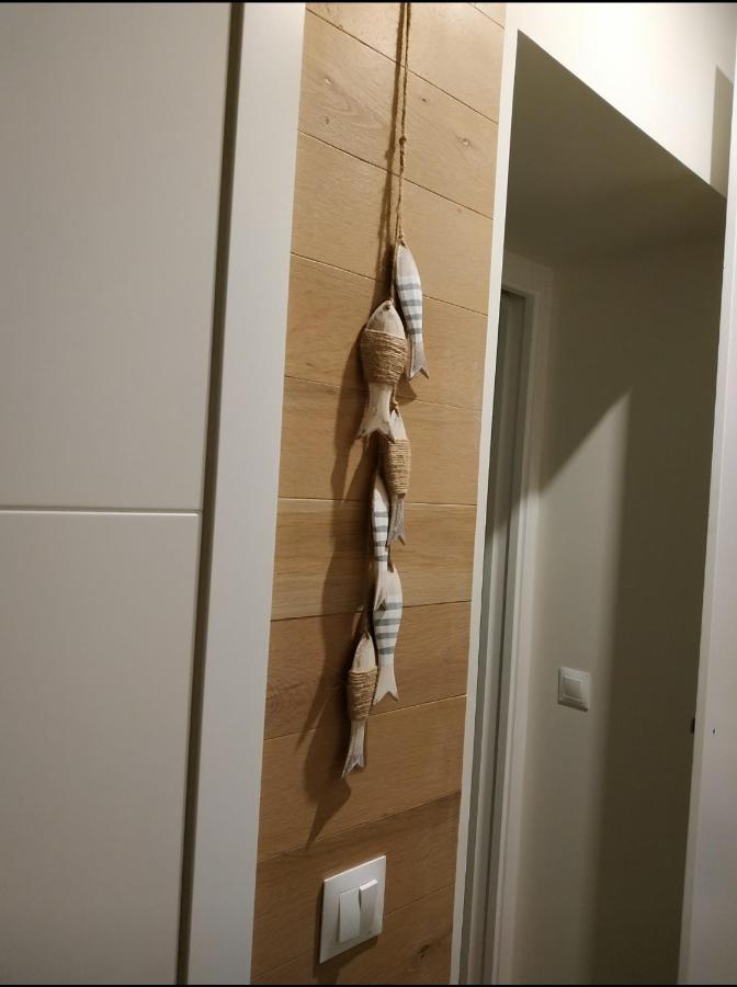 Apartamento - Patio 1812 Cádiz