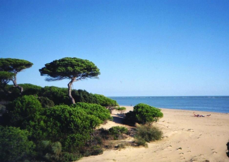 Beach, sun&golf on Costa de la Luz - Nuevo Portil - ideal beach or golf break - 1 to 6 people Сasa de vacaciones El Portil
