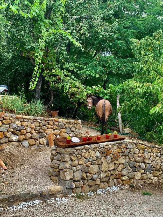 Apartamento Rural Casa Tatisita Iii *