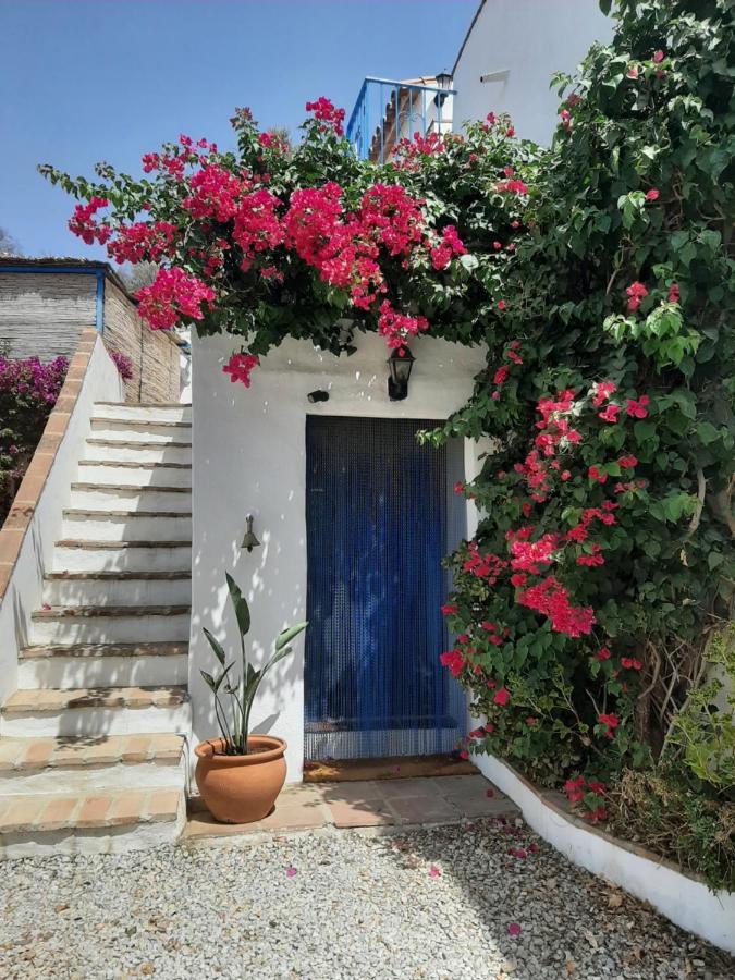 Attico Montes With Private Pool Country house Vinuela