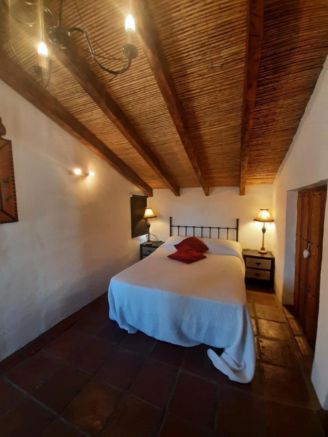 Country house Attico Montes With Private Pool *