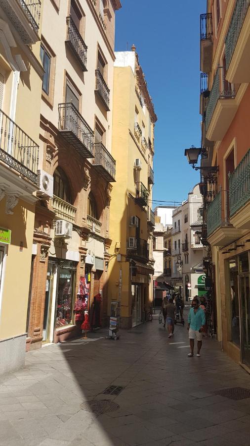 Magnífico Apto 2 Dorm 2 Baños En El Corazón De Aa Wifi Sevilla