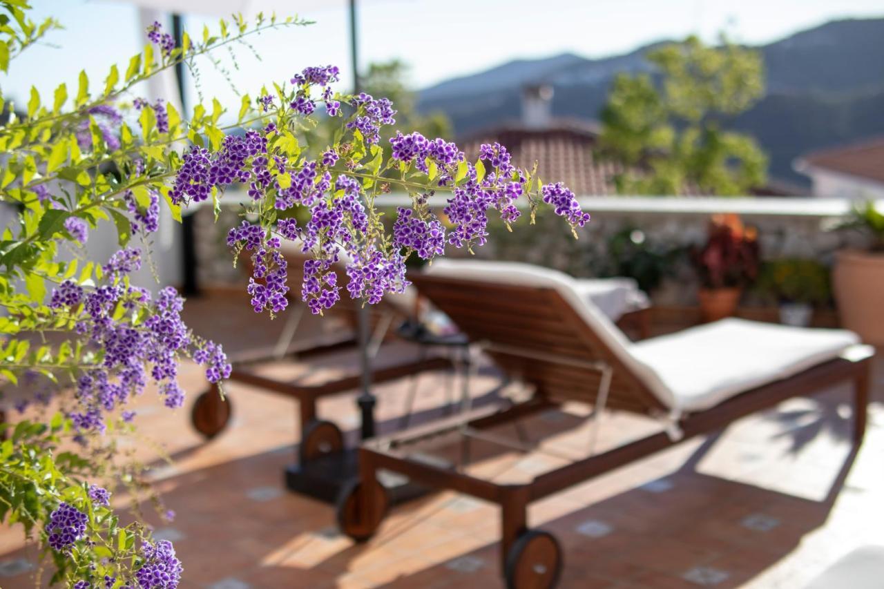 Malaga Hills Double Comfort Boutique & Wellness Eco-hotel -adults Only- Hotel