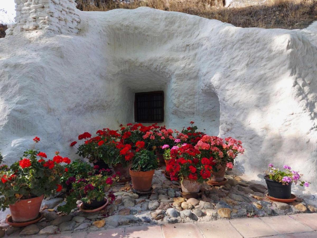 Casa rural Cueva El Guindas *
