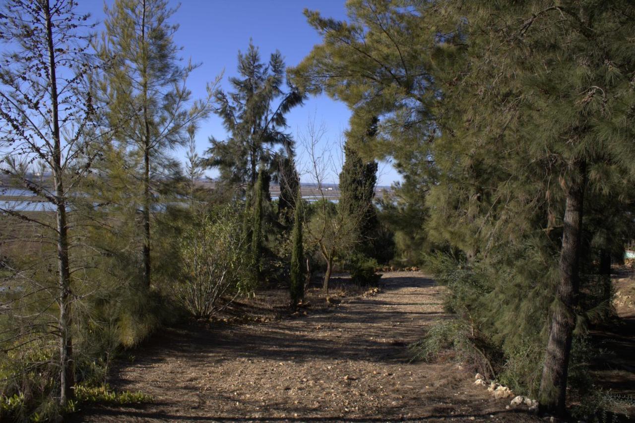 Rural Santa Moguer