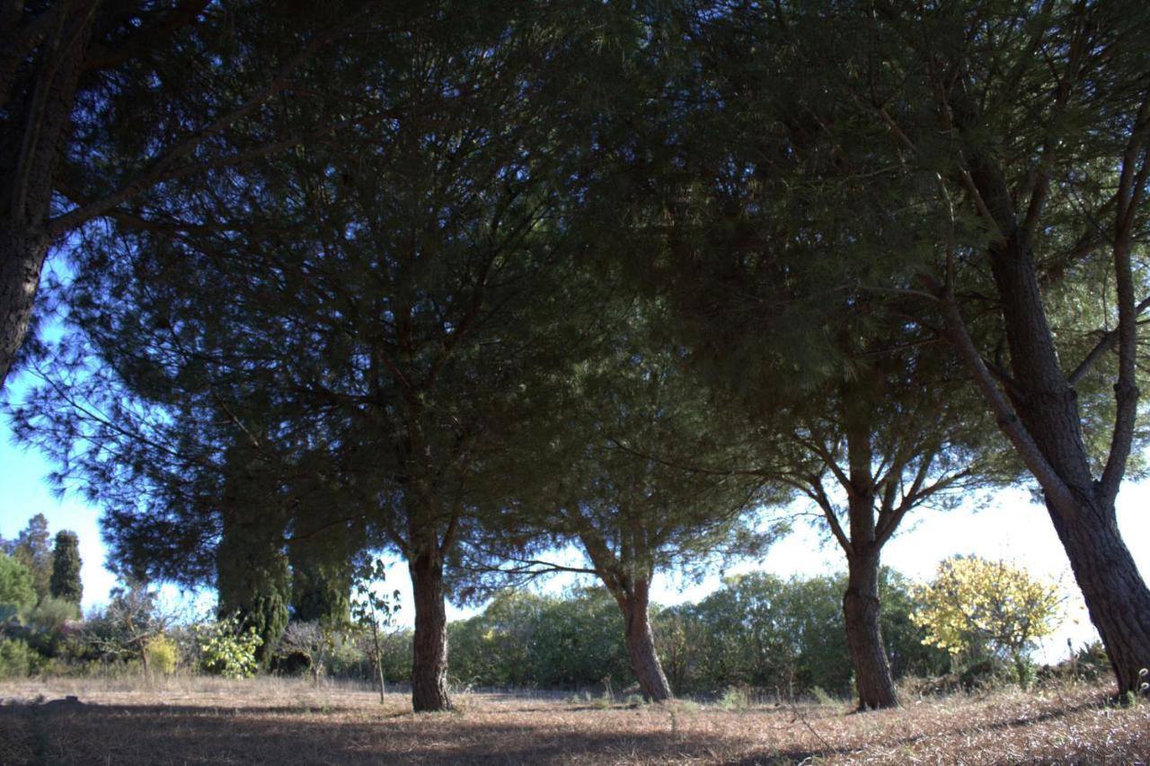 Rural Santa Country house Moguer