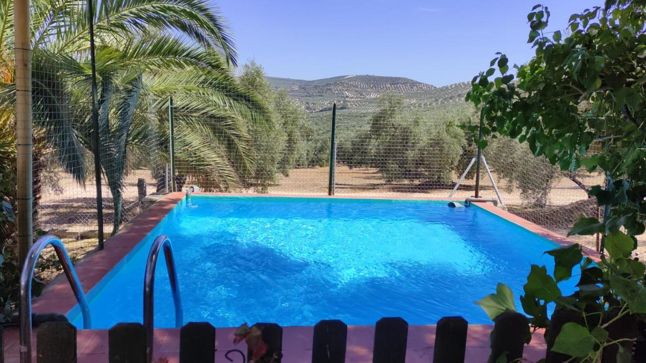 La Perdiz De Molinca Holiday home *