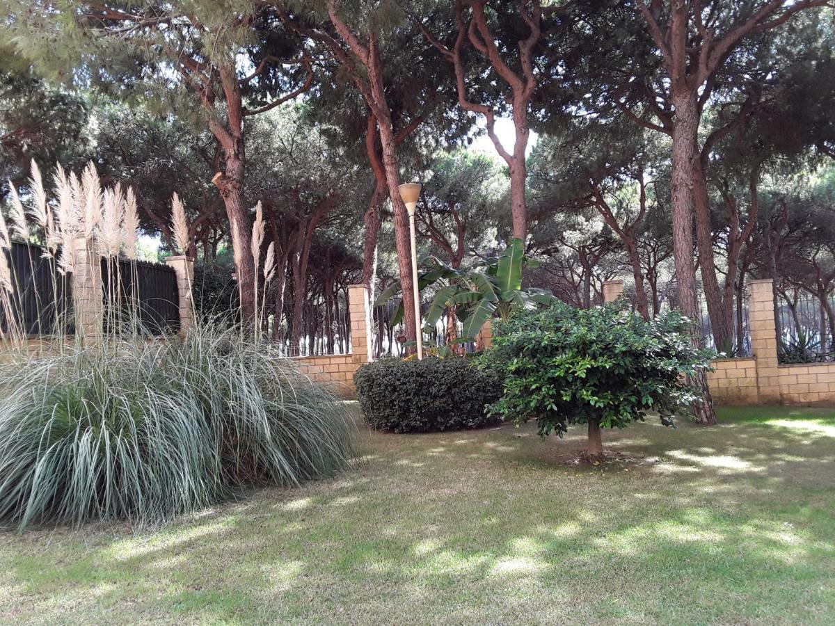 Apartamento Sunny- Homes Vi,playa, Calahonda 350 M Playa