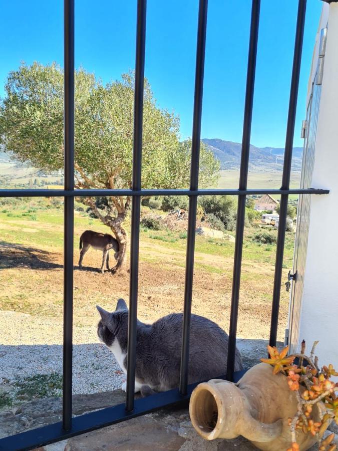 Rancho Blanco La Pena