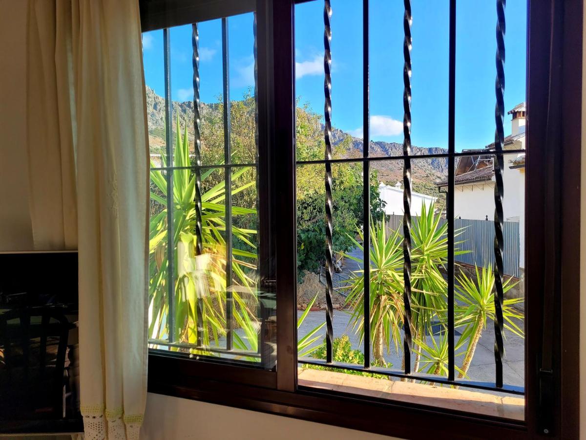 Luminoso Con Vistas Y Chimenea Apto Mascotas Apartment