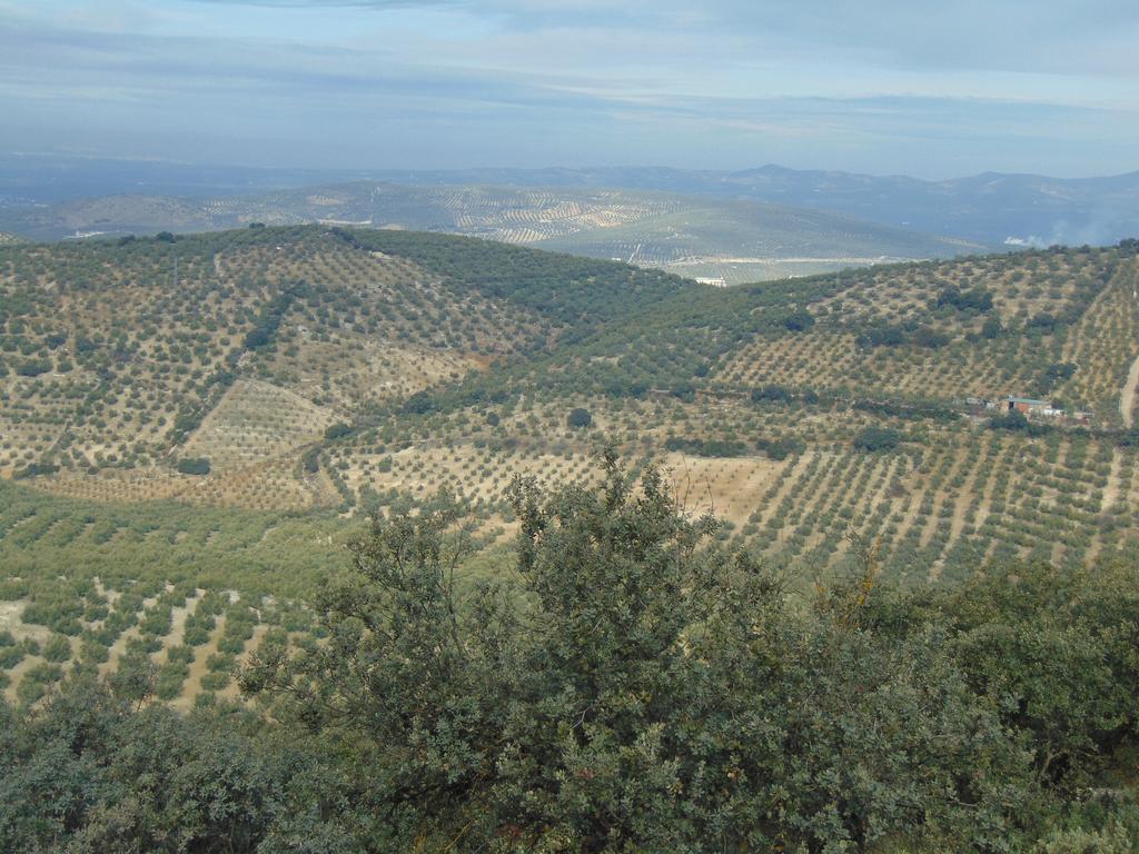 Sierra De Araceli Hotel