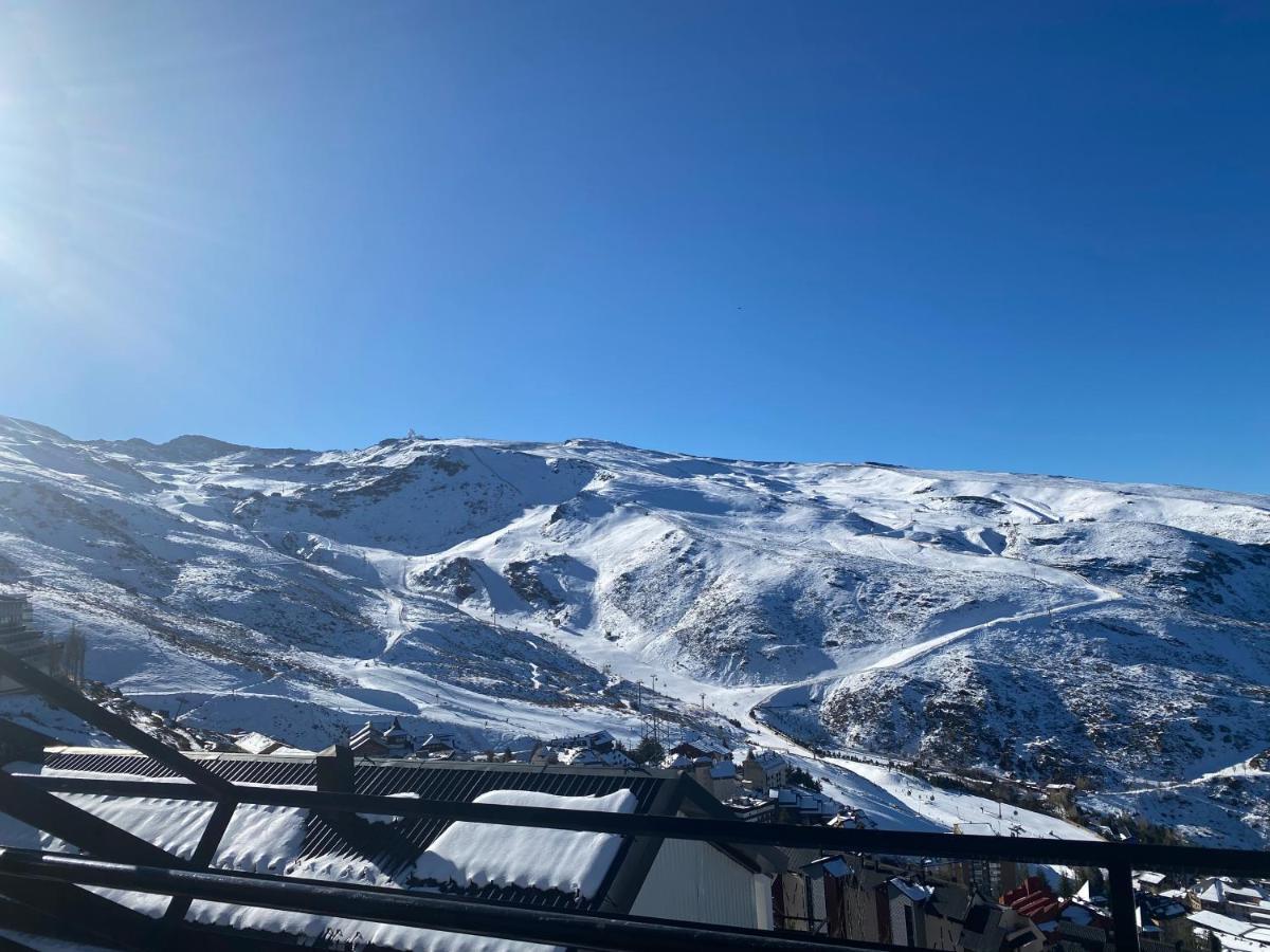 Lys * Sierra Nevada