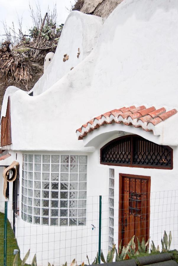 Apartment Cuevas De *
