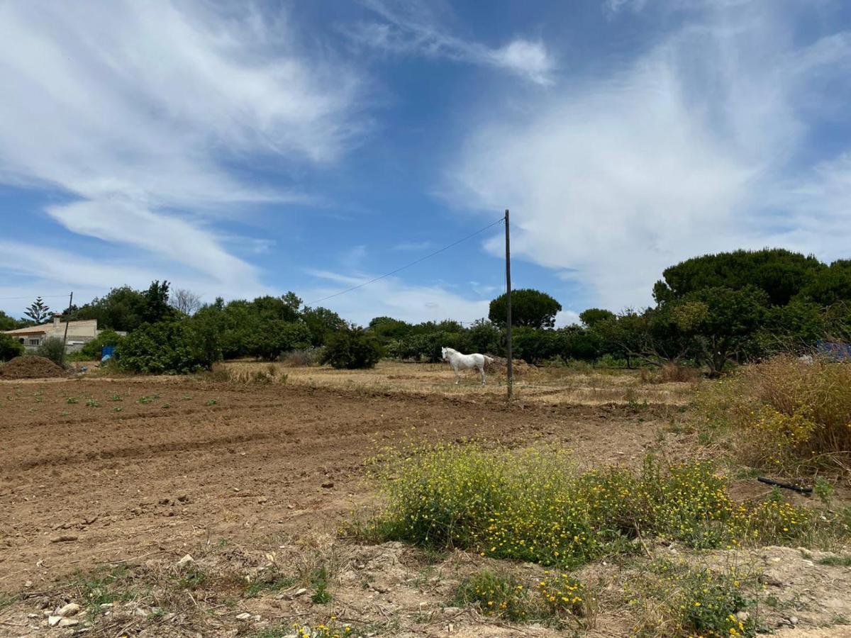 Chiclana Mobile House - Piscina , Wi-fi, Relax Agroturismo