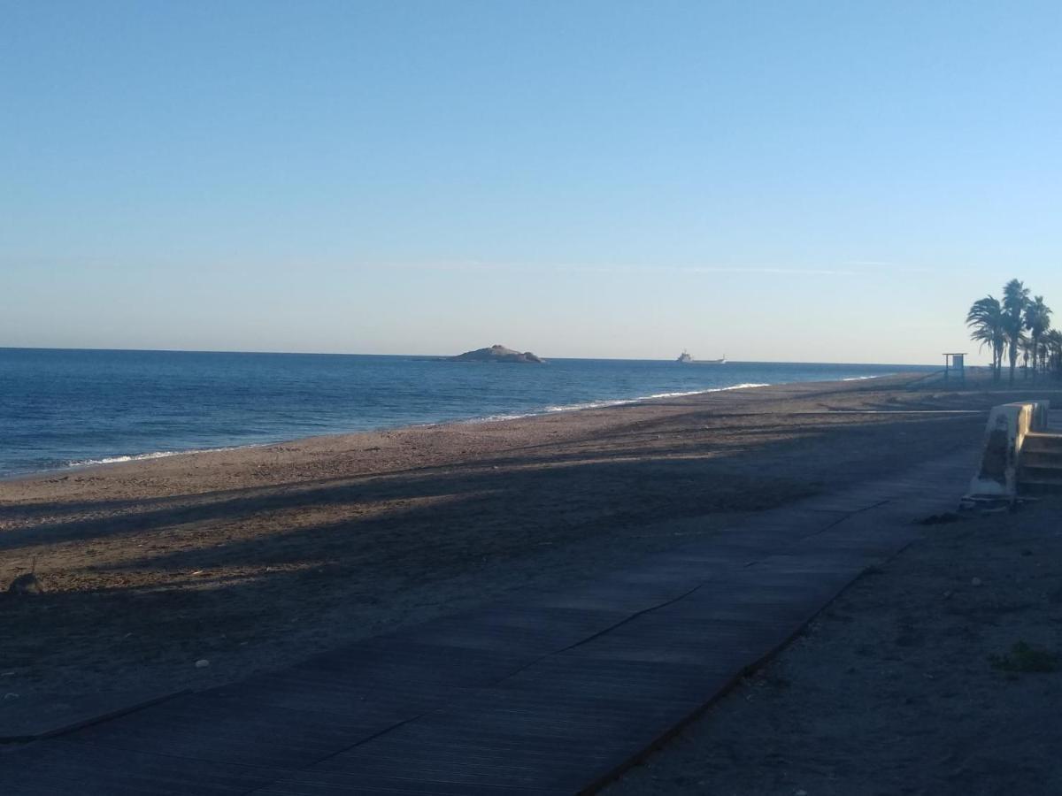Carbomagina *